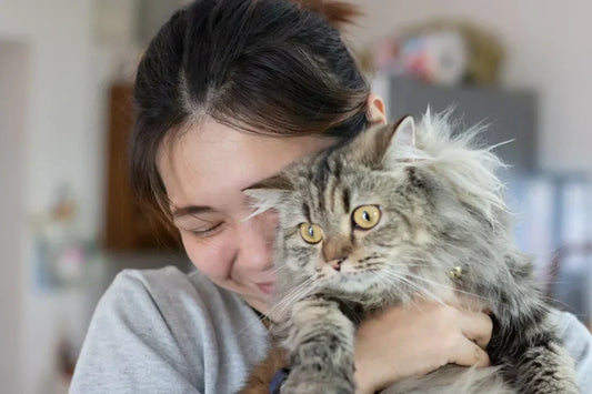 Caring for Cats and Kittens: What Every Cat Owner Should Know