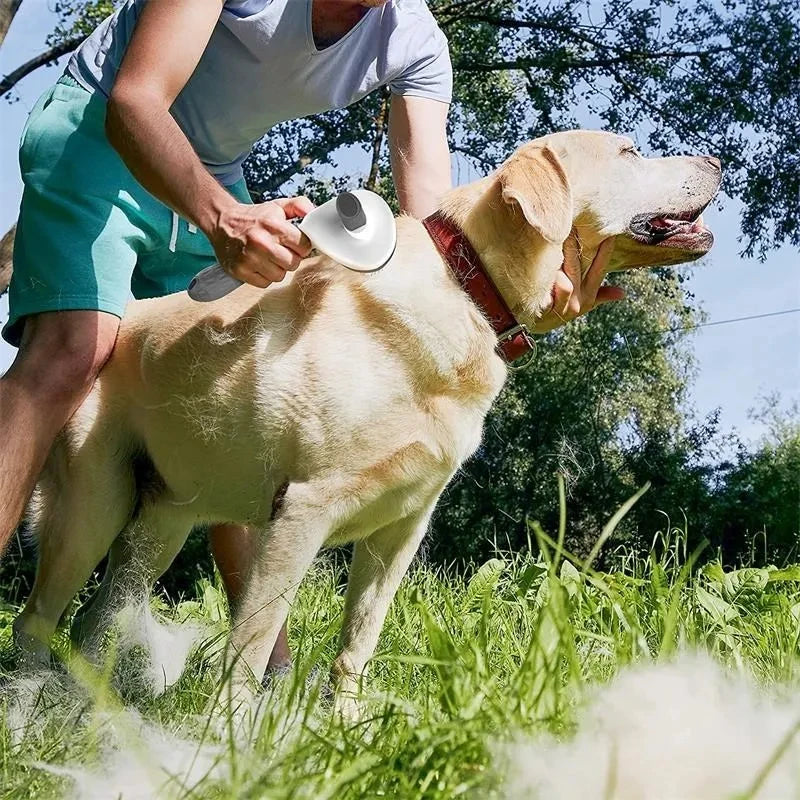 Self-Cleaning Pet Hair Remover Brush for Dogs & Cats