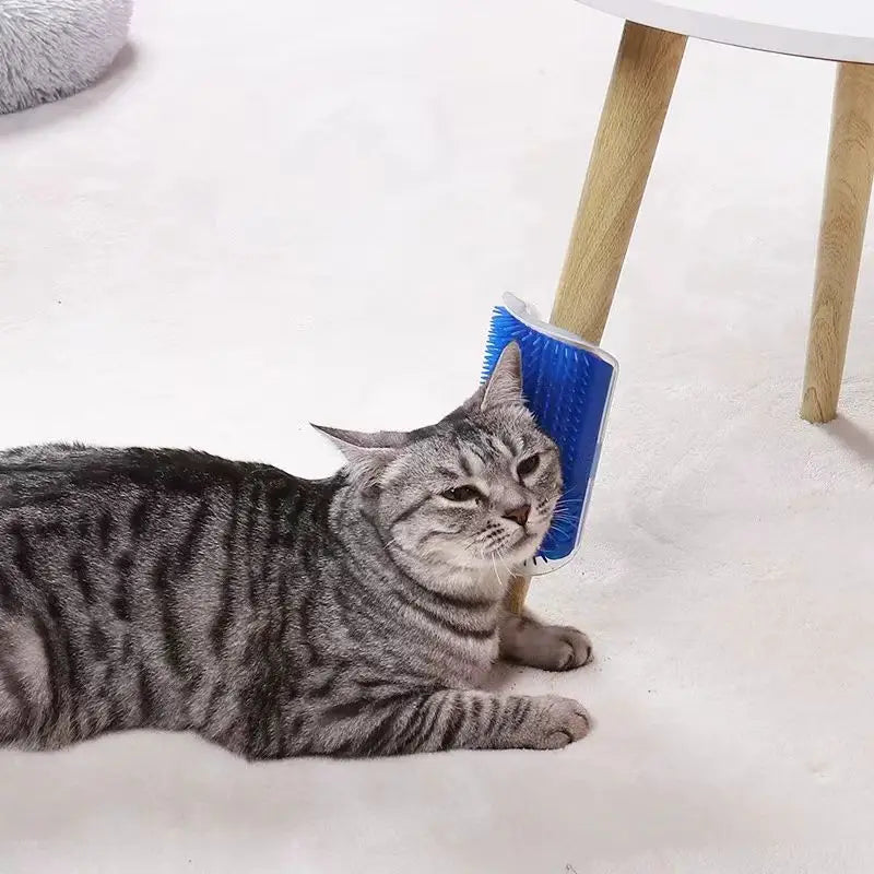 Cat Massage Tool & Hair Removal Comb – Grooming Brush for Cats