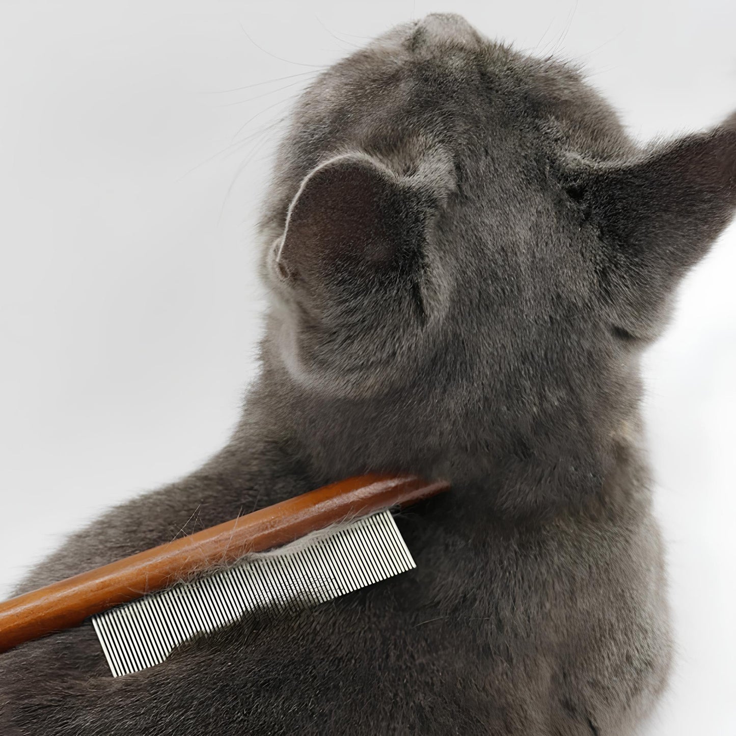 Pet Comb for Long-Haired Cats & Dogs – Detangling Brush