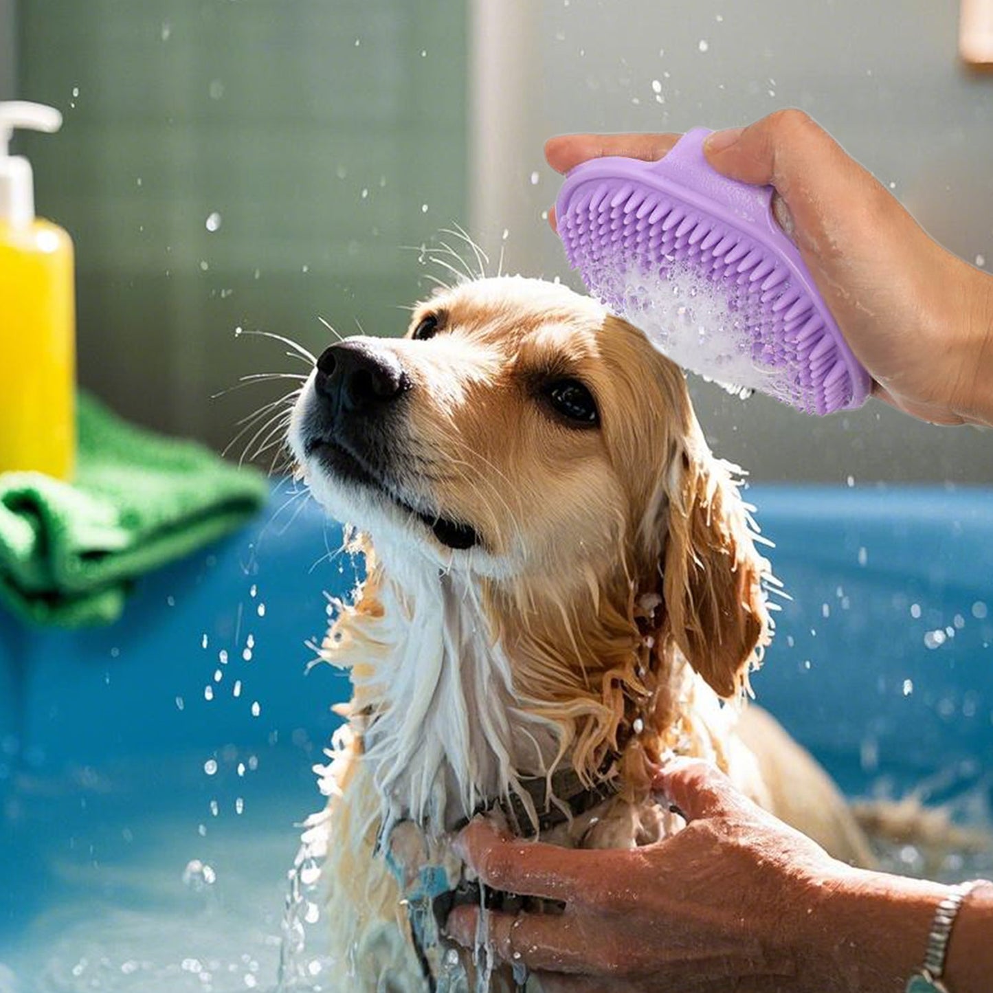Soft Silicone Dog & Cat Brush – Bath & Grooming Massage Comb