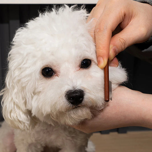 Pet Tear Stain Remover Comb & Scissors Set for Dogs & Cats